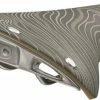 Brooks Zadel C17 Cambium Special Lab