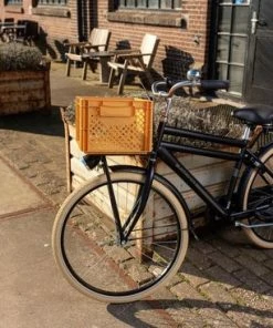 Fastrider Fietskrat Medium - Oker - 22L -Bobike SHOP 550x367 15