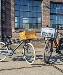 Fastrider Fietskrat Medium - Oker - 22L -Bobike SHOP 550x367 16