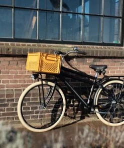 Fastrider Fietskrat Medium - Oker - 22L -Bobike SHOP 550x367 19