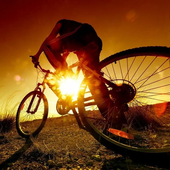 Relaxdays Fietspomp Met Manometer - Luchtpomp Met Drukmeter - Fiets-pomp Fiets Pomp Auto 7 Relaxdays Fietspomp Met Manometer - Luchtpomp Met Drukmeter - Fiets-pomp Fiets Pomp Auto - Afbeelding 7